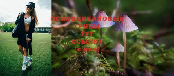 шишки Богородицк