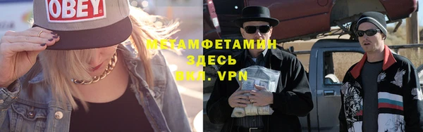 шишки Богородицк