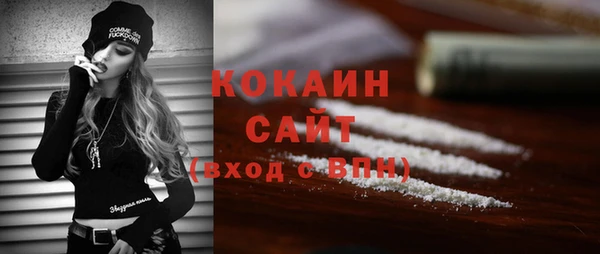шишки Богородицк