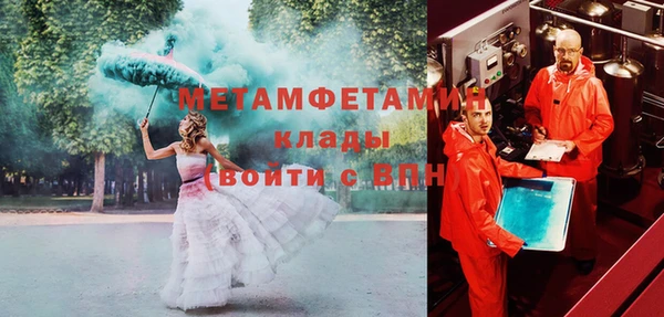 шишки Богородицк