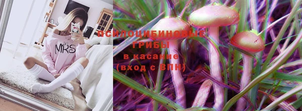 шишки Богородицк