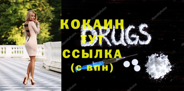 крисы Покачи