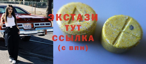 шишки Богородицк