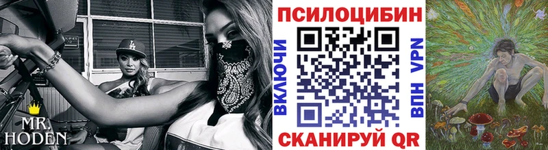 Псилоцибиновые грибы мицелий Морозовск